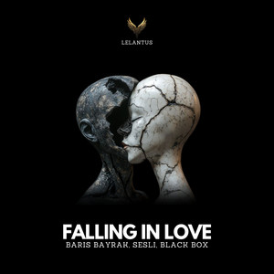 Falling in Love