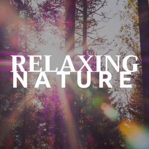 Relaxing Nature - Stress Management Techniques