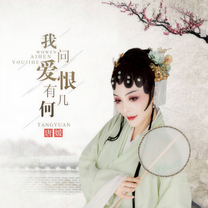 我问爱恨有几何 (DJ何鹏版) - 唐媛封面