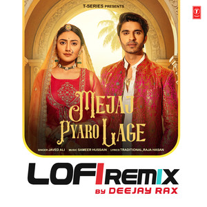 Mejaj Pyaro Lage Lofi Remix