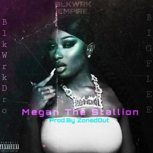 Megan The Stallion (feat. FNF Big Flee) (Explicit)