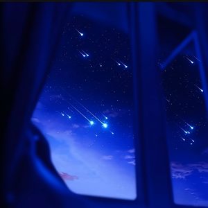 夜空中最亮的星 (DJ降调氛围版)封面