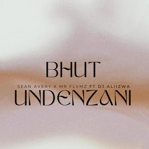 Bhut Undenzani (feat. MR FLVMZ & Dj Alizwa)