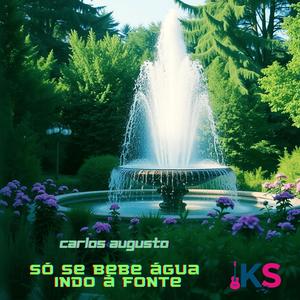 Só Se Bebe Água Indo a Fonte