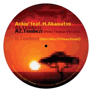 Tembezi feat. M.Akamatsu