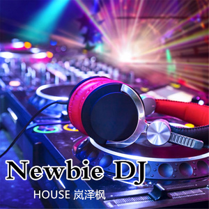 Newbie DJ