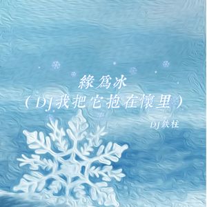 DJ铁柱 - 缘为冰 (DJ我把它抱在怀里)