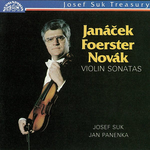Sonata Quasi Fantasia for Violin and Piano, Op. 117: I. Allegro moderato