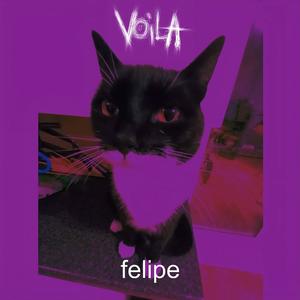 felipe. (Explicit)