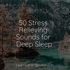 50 Stress Relieving Sounds for Deep Sleep