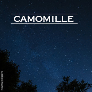 Camomille