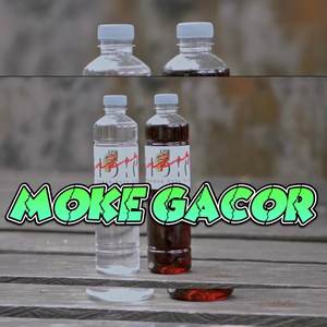 MOKE GACOR 2 (Remix)