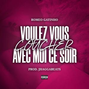 Voulez Vous Coucher Avec Moi Ce Soir (feat. Romeo Gatinho) [Explicit]