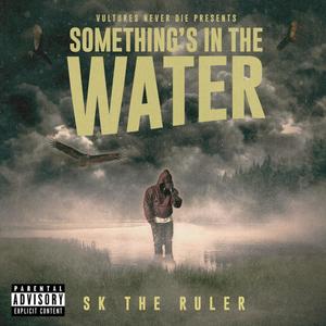 Built Like Me (feat. P Dawggg) (Explicit)