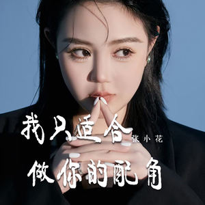 我只适合做你的配角