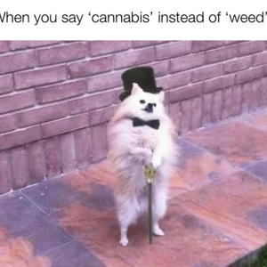 ÇOK DÜŞÜNME (Explicit)