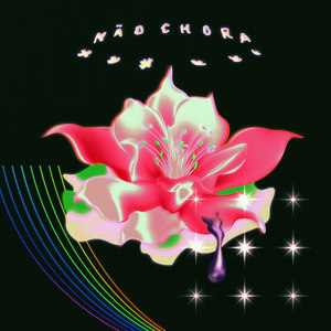 Não Chora (Nara Vaez Remix)