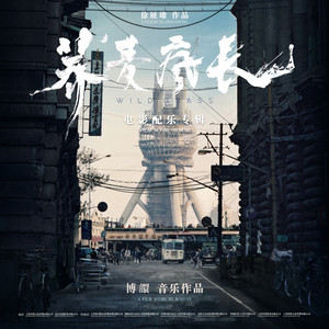 雨中的答案