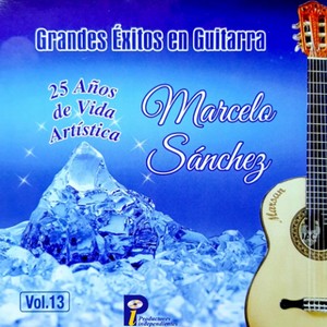 25 Años de Vida Artística -  Grandes Éxitos en Guitarra, Vol.13