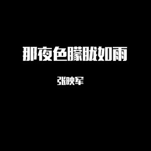 那夜色朦胧如雨