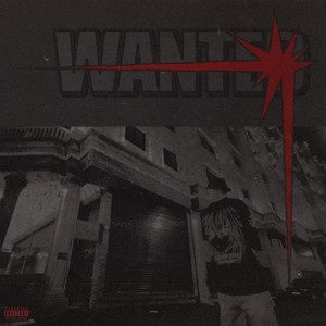 Wanted (Explicit)