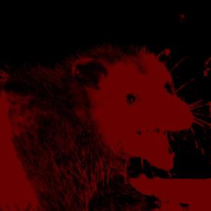 Like That (Explicit)