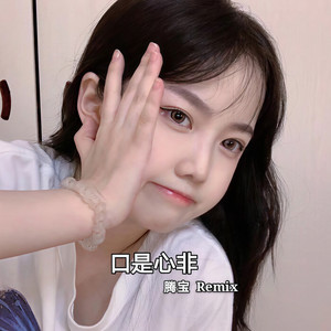 KTV精品曲 (Remix)