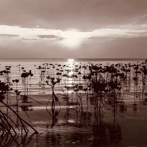 Bun Bun (feat. DJ KENSEI & GoRo the Vibratian) (Live at BOOM BOOM-BASH, 静岡, 2006)