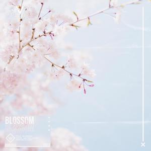 Blossom