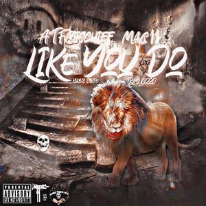 Like You Do (feat. Mac11, Troy Good & YaBoi Dirty) (Explicit)