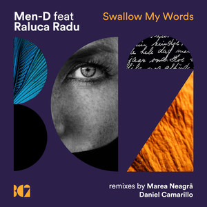 Swallow My Words (Marea Neagra Remix)