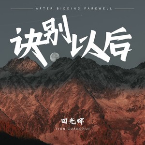 诀别以后 (伴奏)