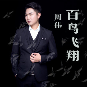 百鸟飞翔