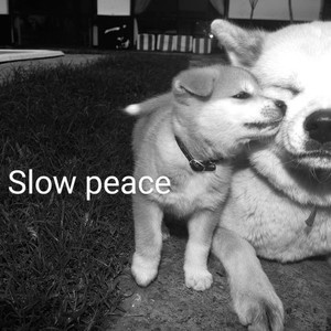 Slow peace