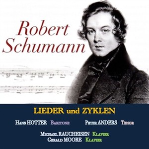 Zwolf Gedichte, Op.35, IRS 45 - No. 11, Wer machte dich so krank?