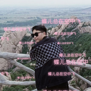 蝶儿总在空中飞