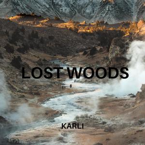 Lost woods