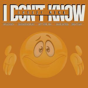 I Don't Know (feat. MainnoDaDeejay,Shab_Nation,Spitt-Fire & Mighty_Kay)