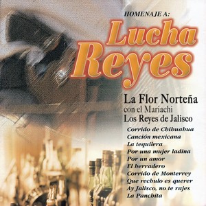 Homenaje a Lucha Reyes