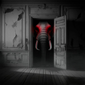 Elephant Shadow Reboot