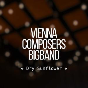 Dry Sunflower (feat. Jordi Roviró, Lorenz Widauer & Amina Bouroyen)