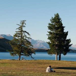 眼睛瞎在手机上 (手也粘在手机上)