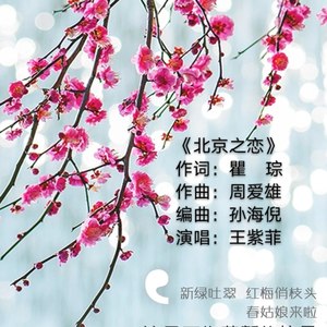 北京之恋