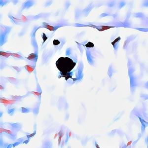 Polar Bear for Christmas (feat. CNW)