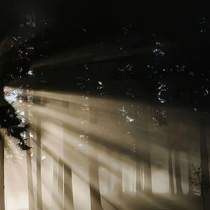 你只会重复犯过的错