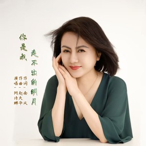 你是我走不出的明月