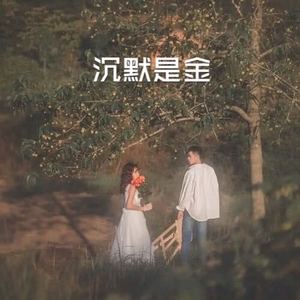 沉醉的青丝 (经典版)