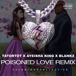 Poisoned Love (Ayeisha King & Blankz Remix) [Explicit]