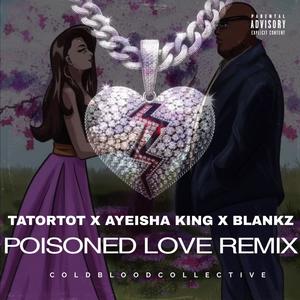 Poisoned Love (Ayeisha King & Blankz Remix|Explicit)