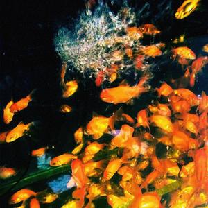 이유가 중요한가요 (Reason)